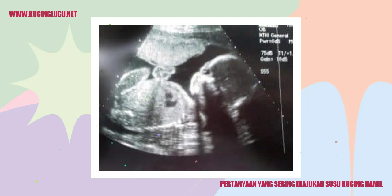 Susu Kucing Hamil