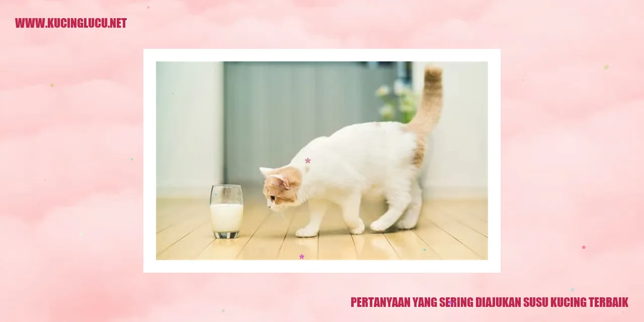 Panduan Memilih Susu Terbaik untuk Kucing Kecilmu