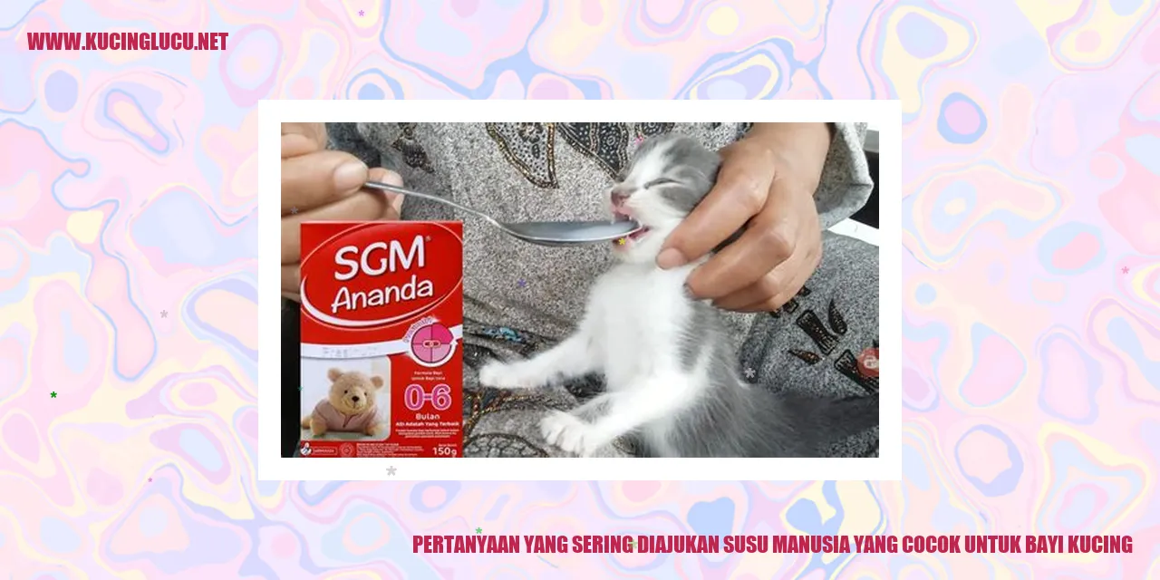 Gambar Bayi Kucing