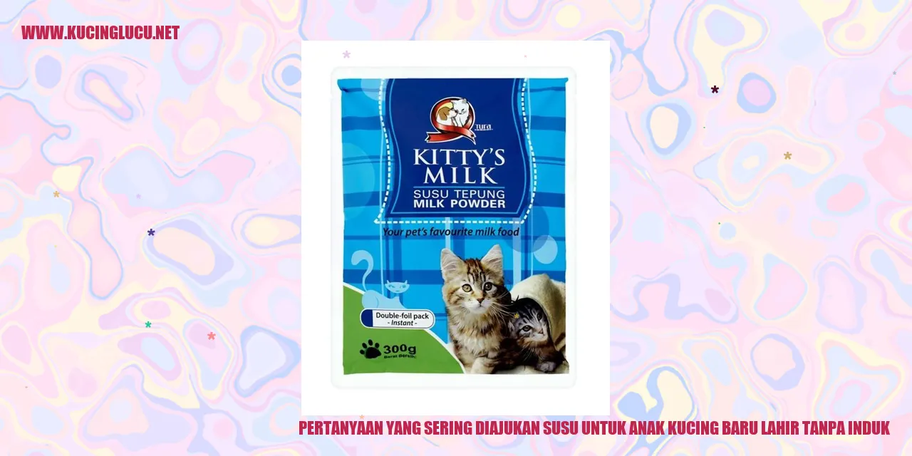 Anak kucing baru lahir tanpa induk