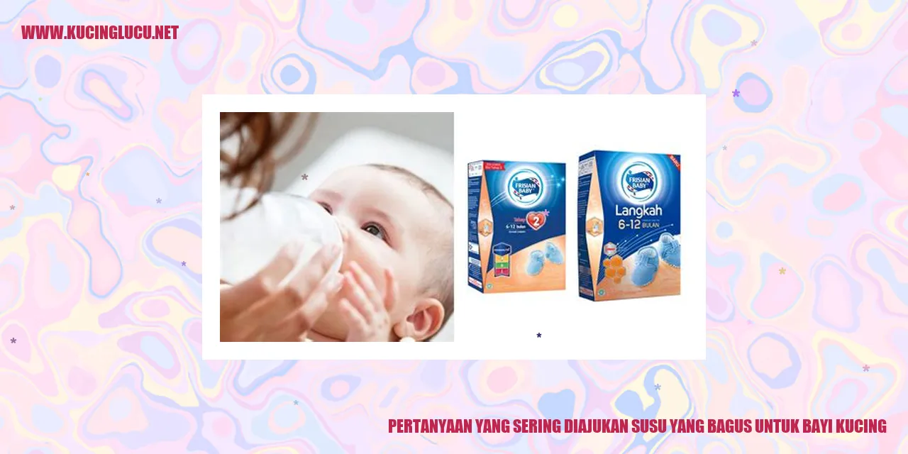 Gambar Susu Bayi Kucing