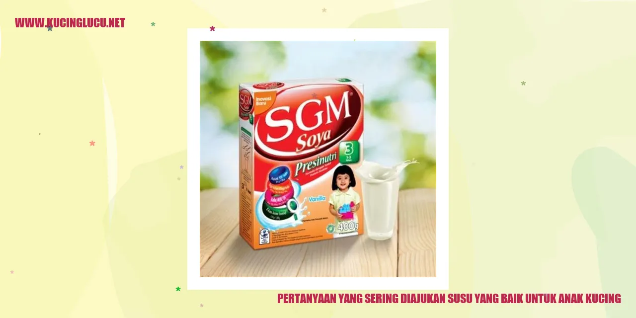 Gambar Anak Kucing Lucu