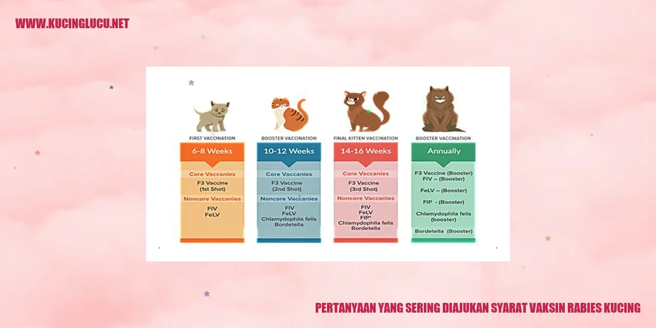 Pertanyaan yang Sering Ditanyakan tentang Persyaratan Vaksin Rabies untuk Kucing