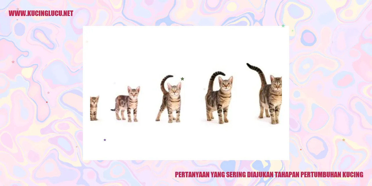 pertumbuhan kucing