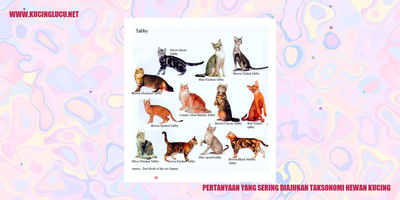 Pertanyaan yang Sering Diajukan mengenai Taksonomi Hewan Kucing