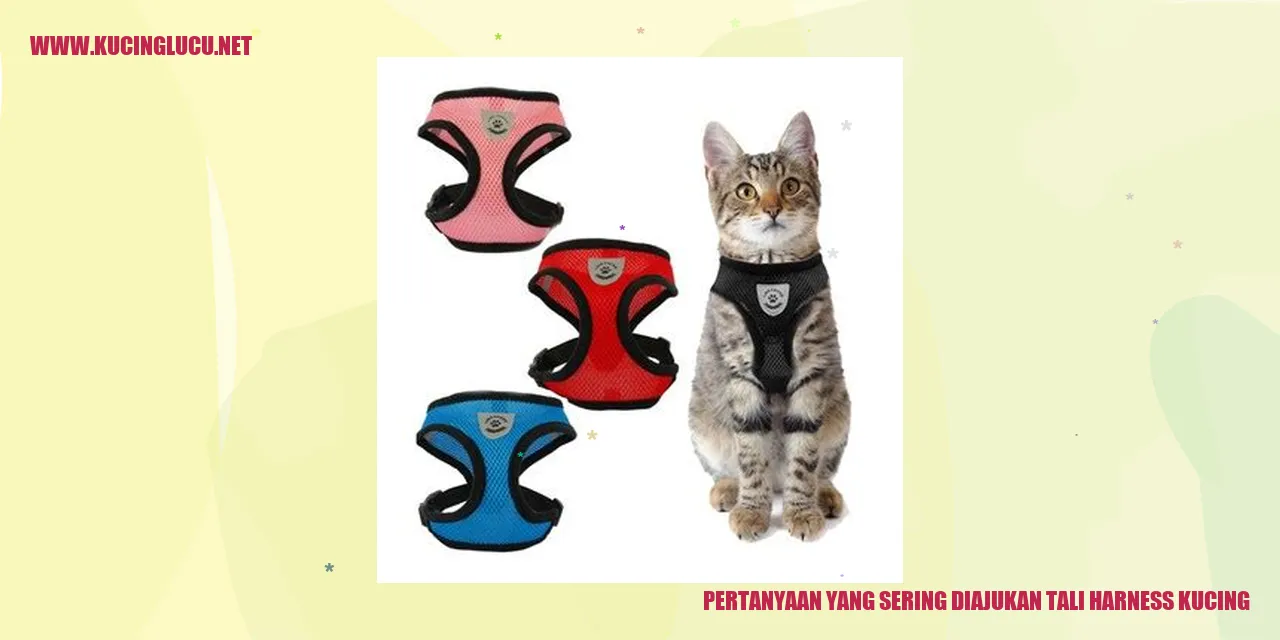 Tali Harness Kucing