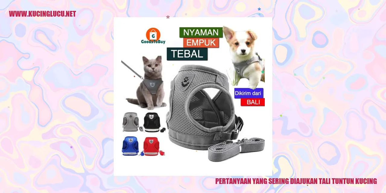 Tali Tuntun Kucing