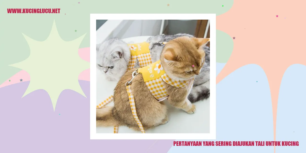 Tali untuk kucing