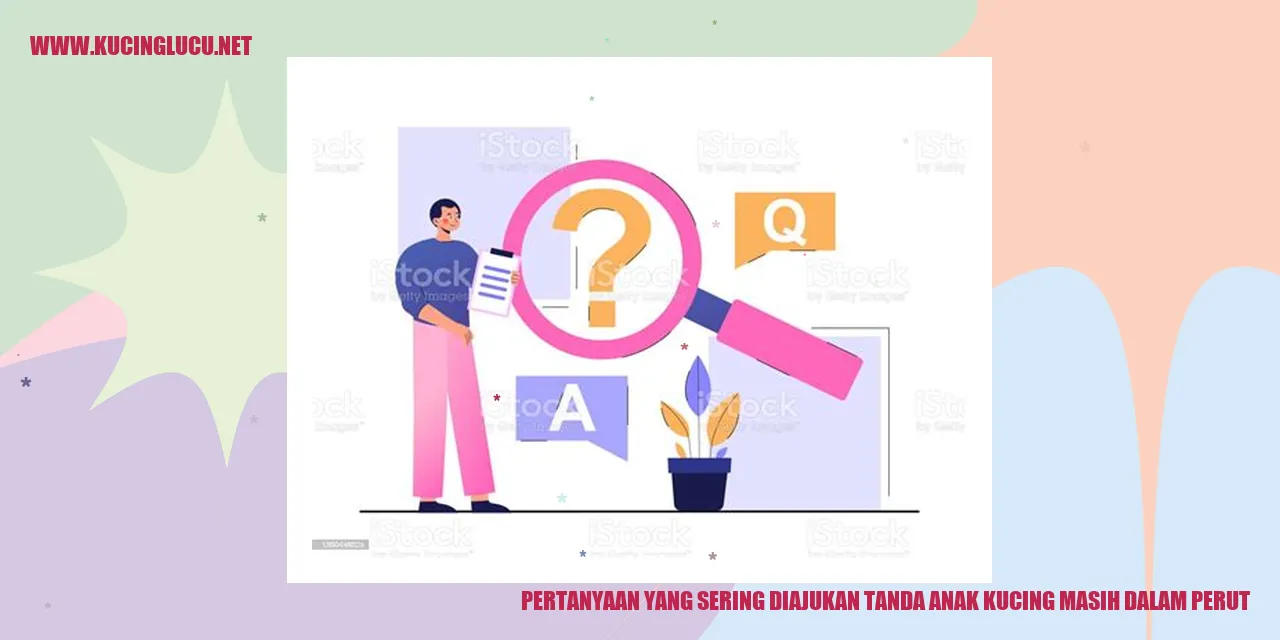 Anak Kucing dalam Perut