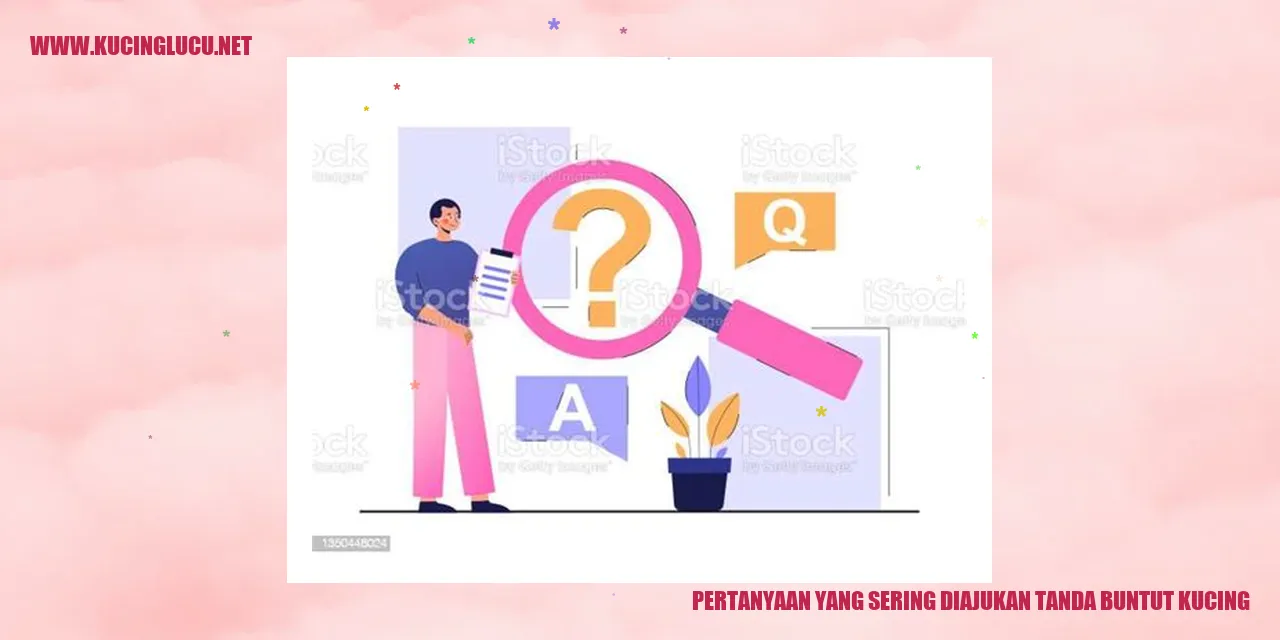 Tanda Buntut Kucing