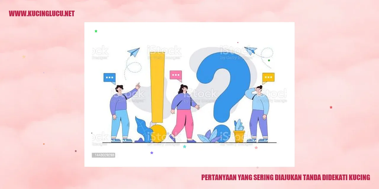 Kucing yang Mendekati Kita