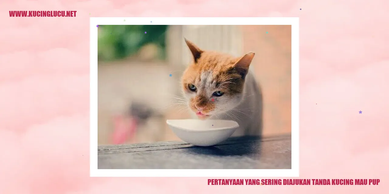Pertanyaan yang Sering Diajukan tanda kucing mau pup
