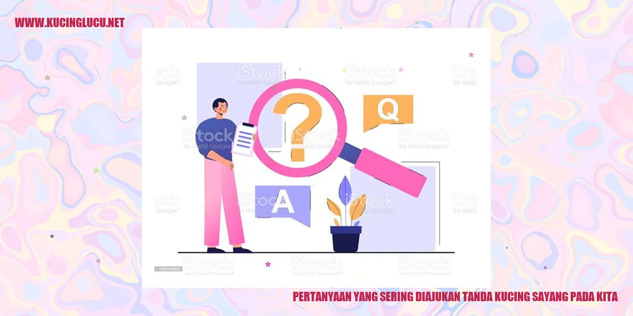 Gambar kucing sayang