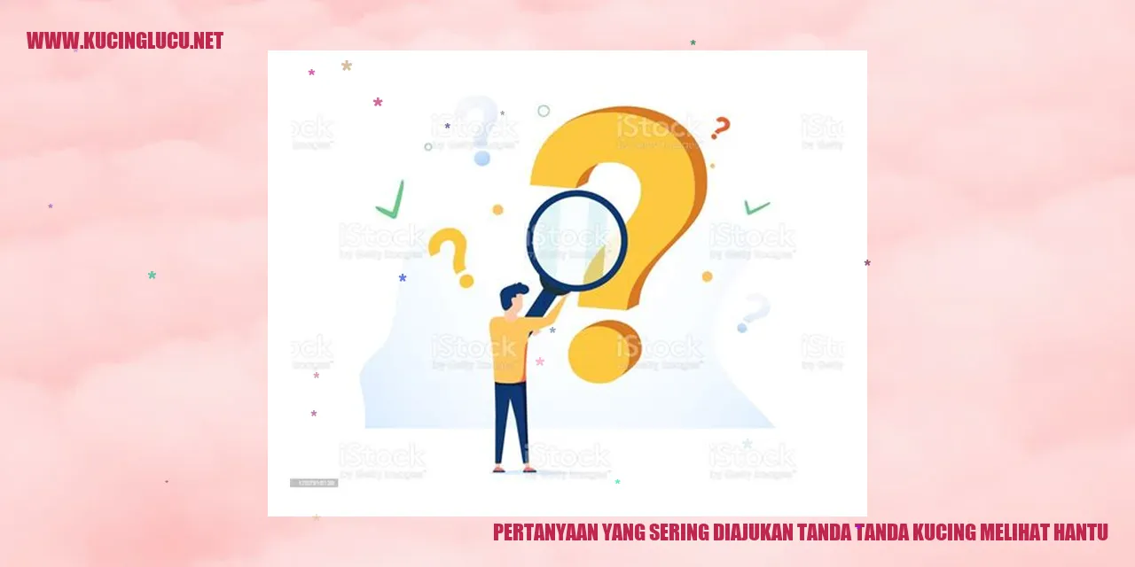 Gambar seekor kucing