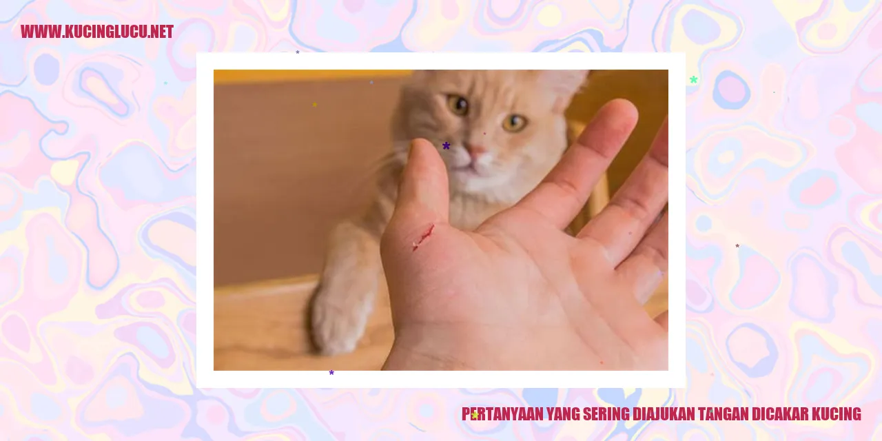 Kucing Mencakar Tangan