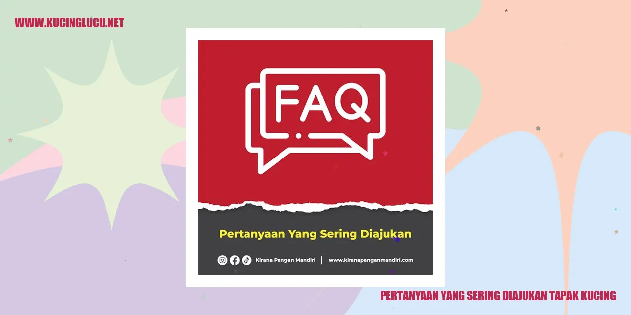 Gambar Kucing dan Pertanyaan yang Sering Diajukan