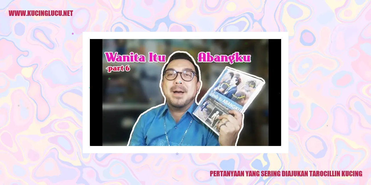 pertanyaan-tarocillin-kucing