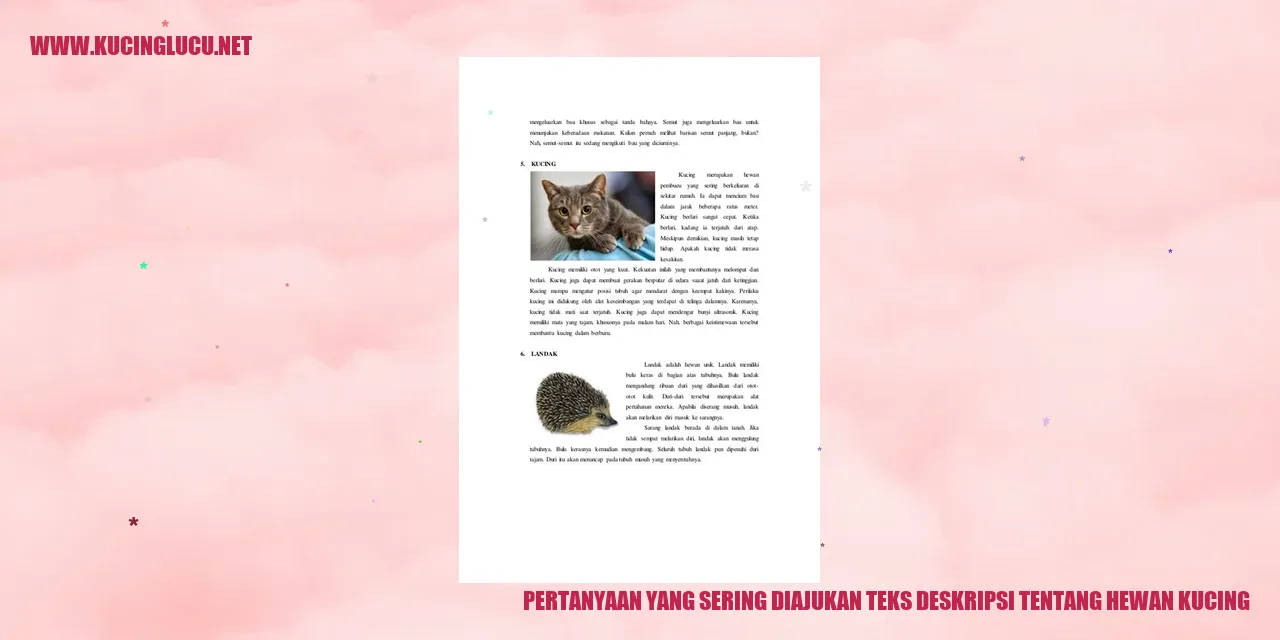 Gambar kucing