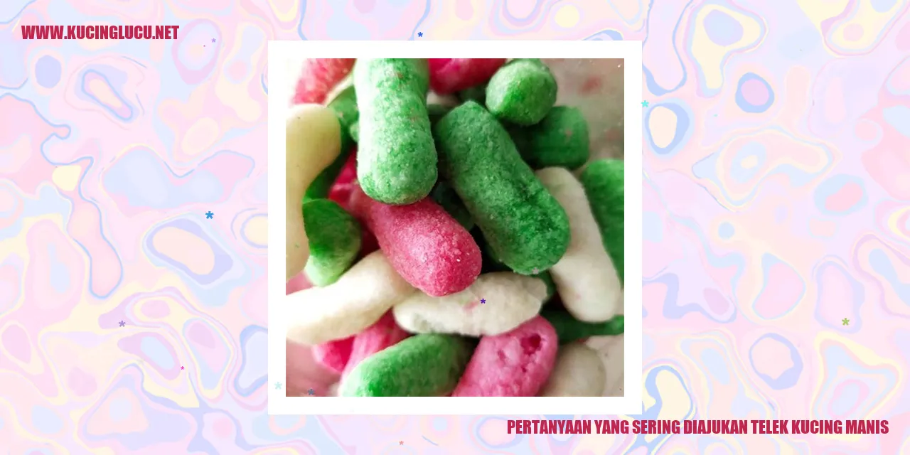 Kucing manis