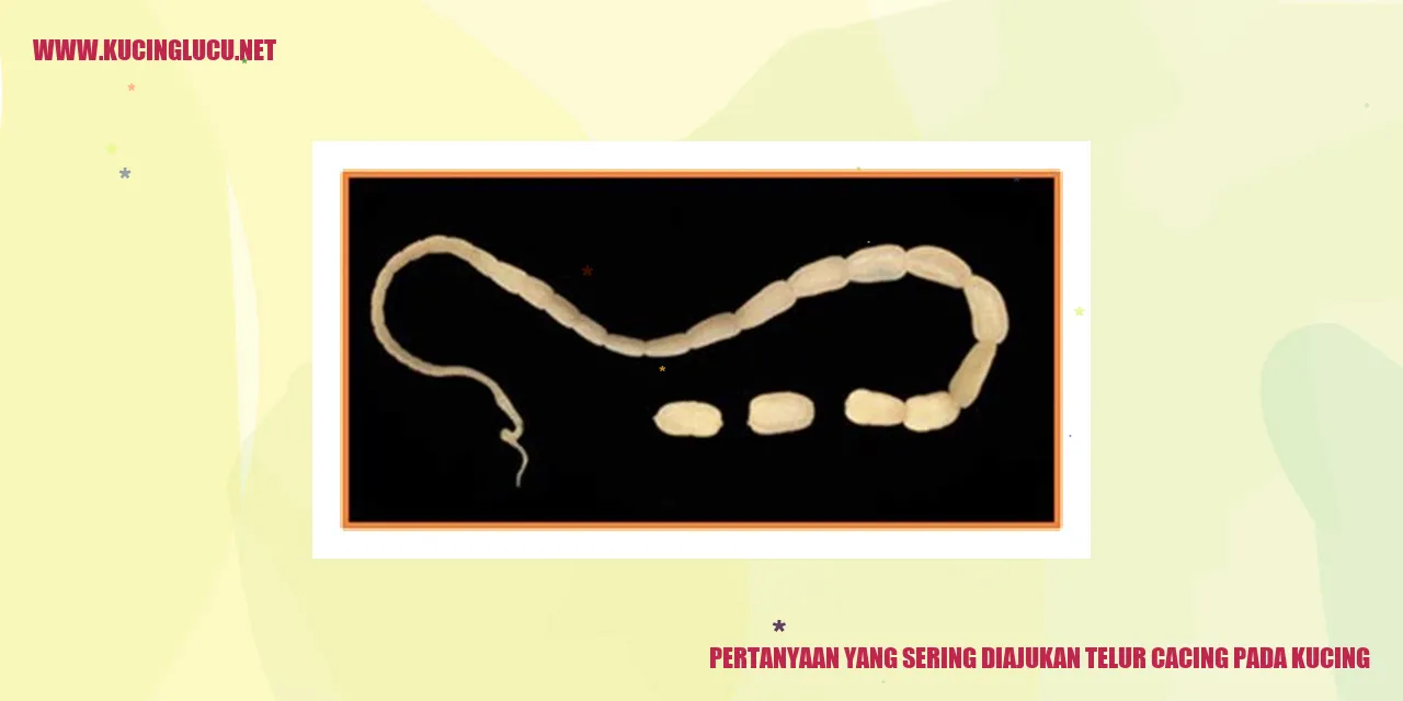 Pertanyaan yang Sering Diajukan tentang Telur Cacing pada Kucing