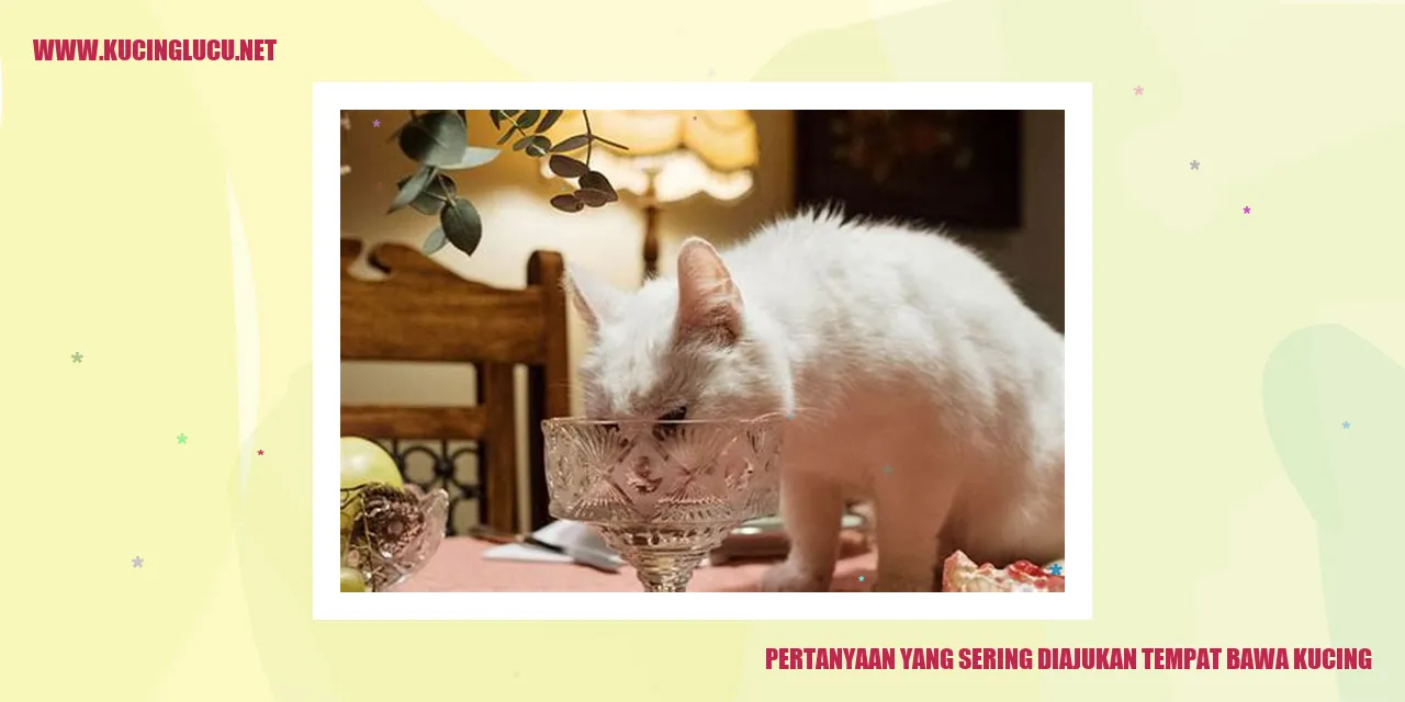 Gambar kucing di dalam wadah pengangkut