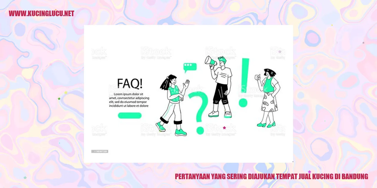 Ilustrasi kucing