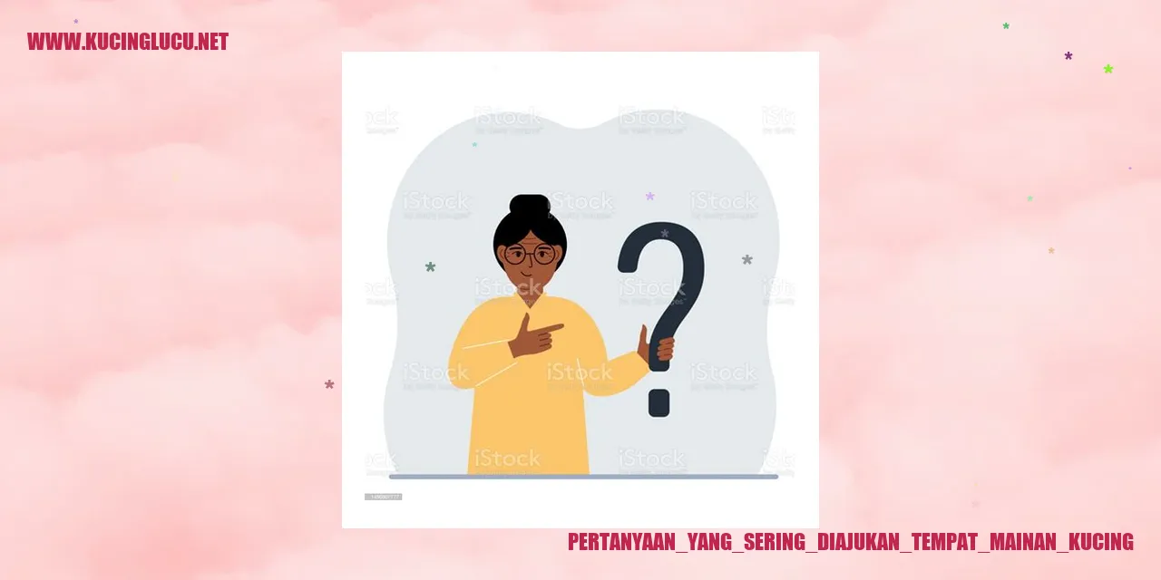 Pertanyaan yang Sering Diajukan tentang Mainan Kucing