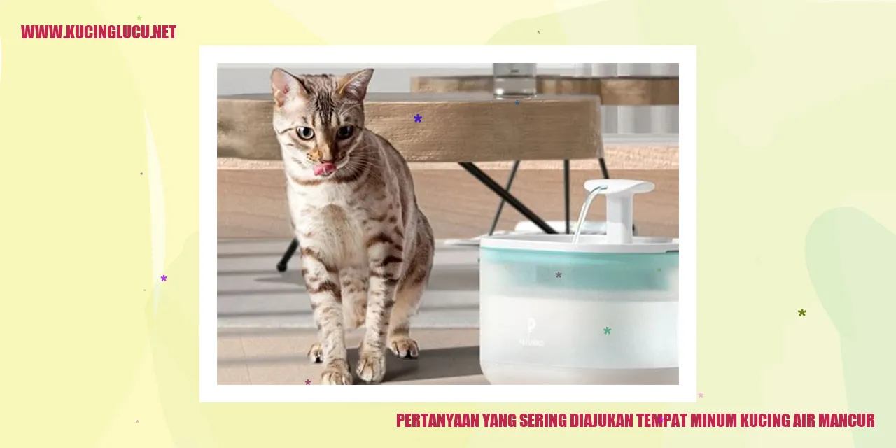 Kucing Air Mancur