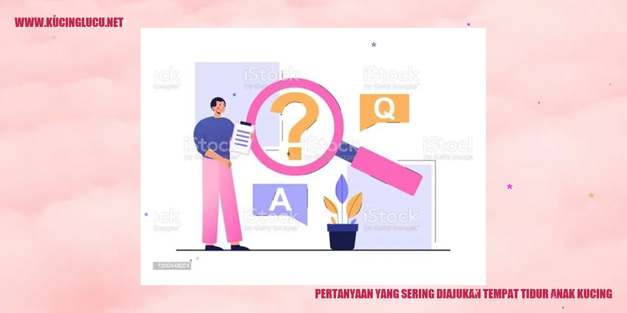 Tempat Tidur Anak Kucing