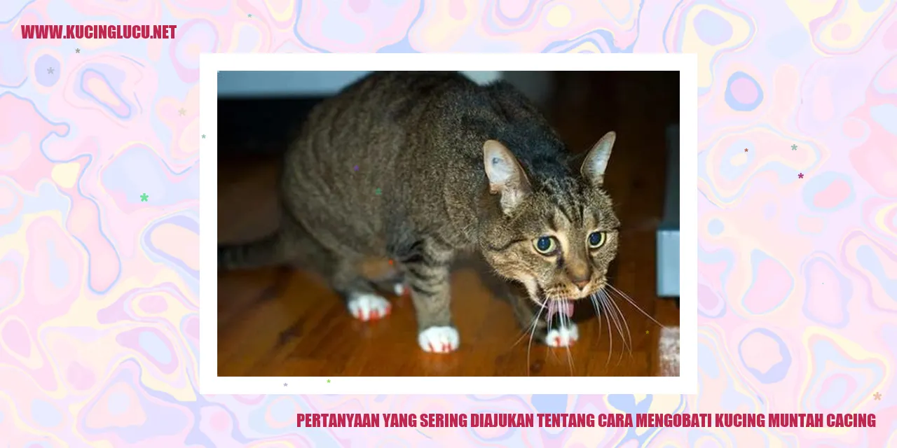 gambar kucing muntah cacing
