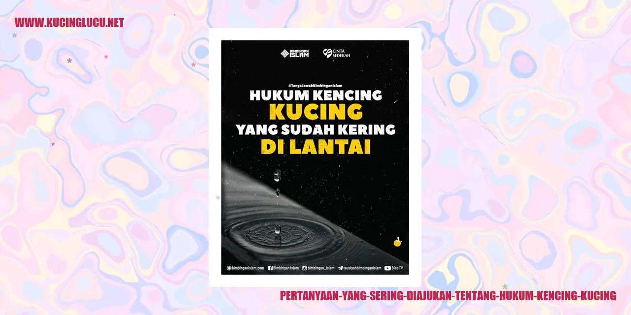 Pertanyaan yang Sering Diajukan tentang Hukum Kencing Kucing