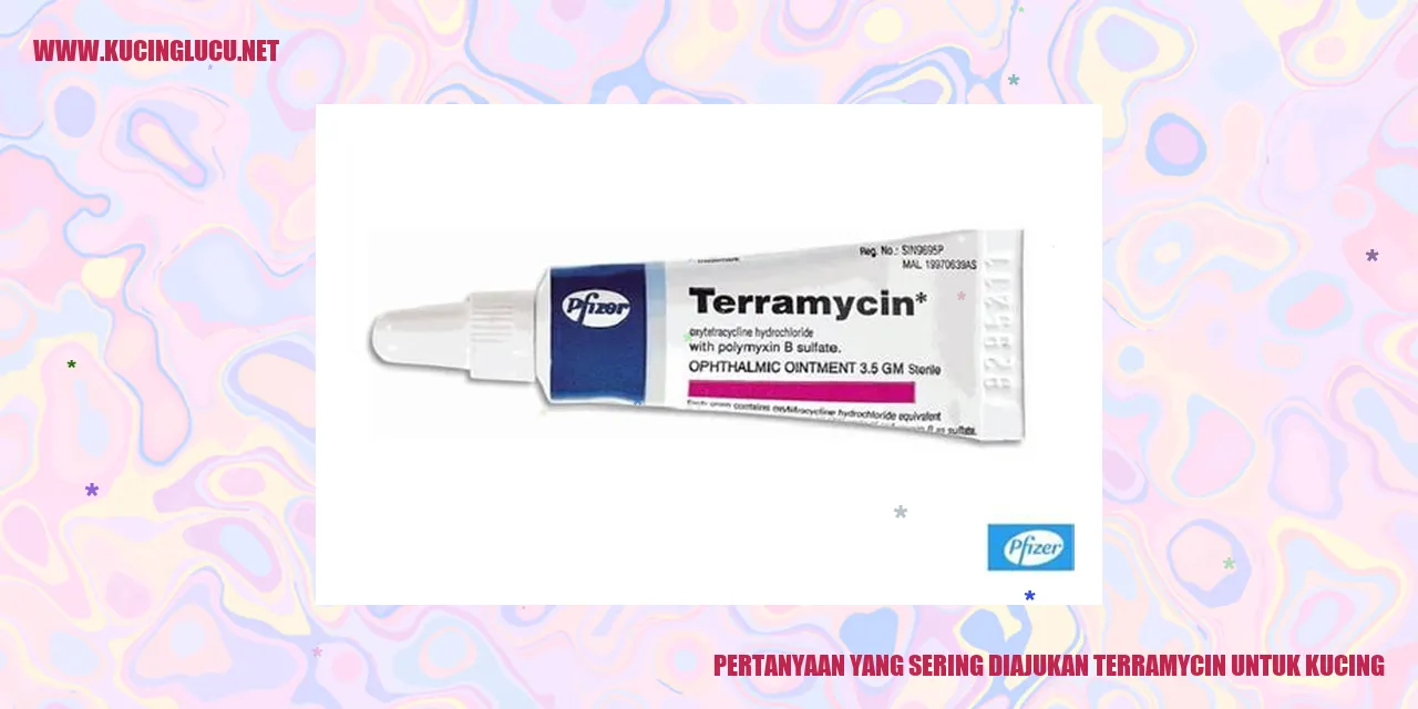 Gambar Kucing dengan Teromisin