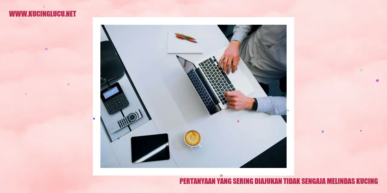Gambar Kucing Tergelindas