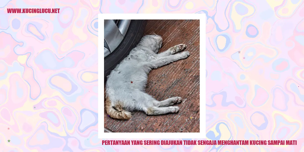 Gambar kucing