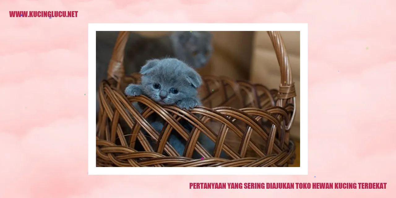 Pertanyaan yang Sering Ditanyakan tentang Toko Hewan Kucing Terdekat