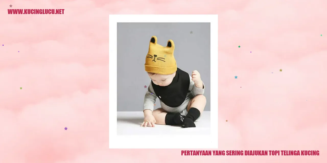 Topi Telinga Kucing