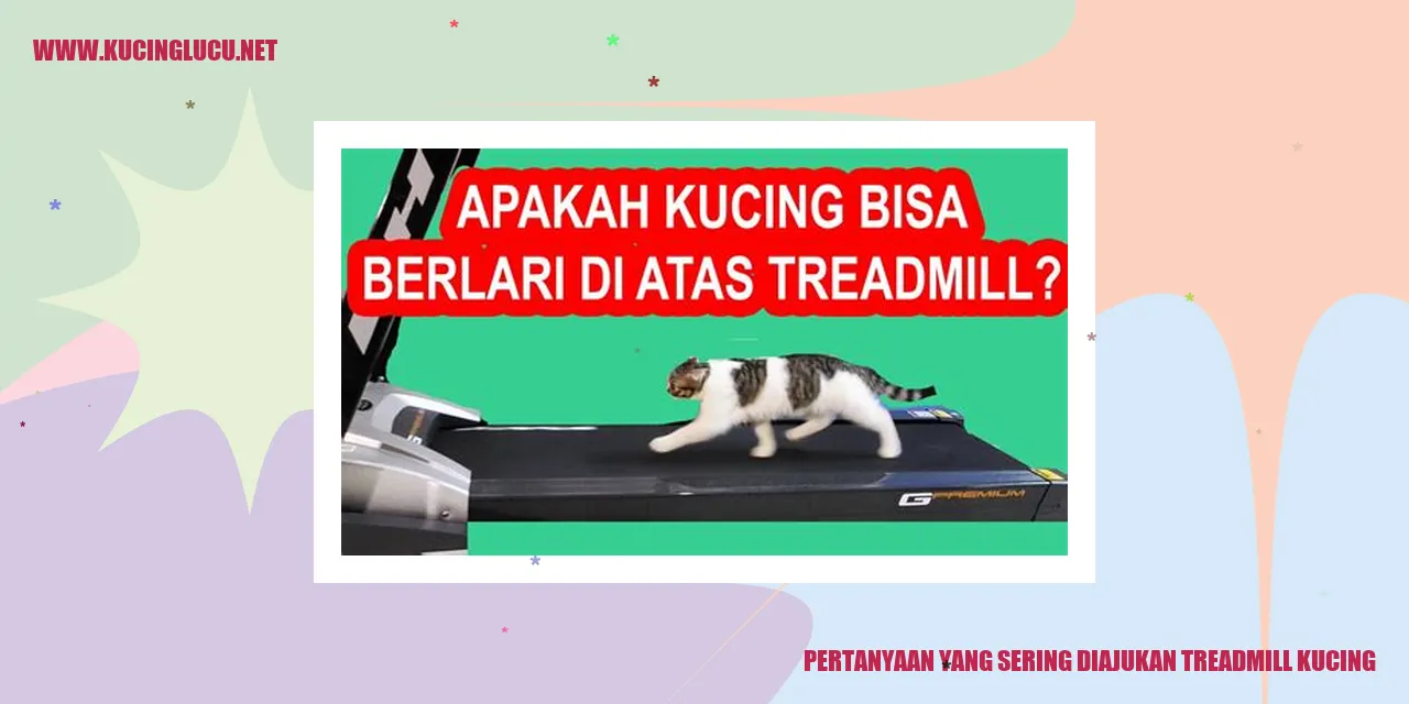Treadmill untuk Kucing
