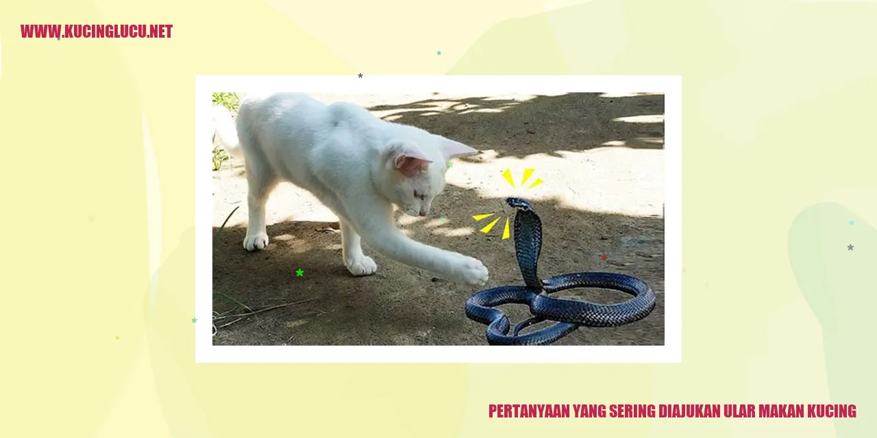ilustrasi ular dan kucing