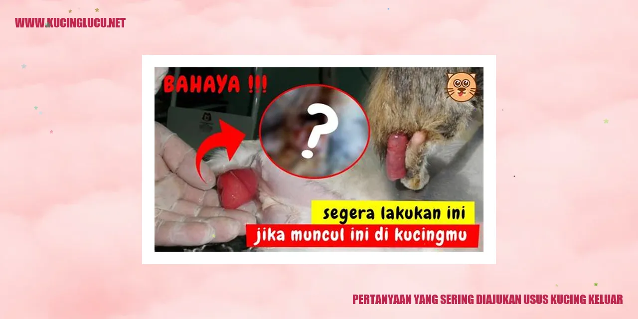 Pertanyaan yang Sering Diajukan usus kucing keluar
