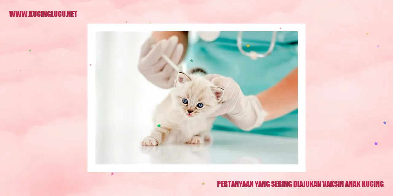 Gambar anak kucing yang sedang menjalani vaksinasi