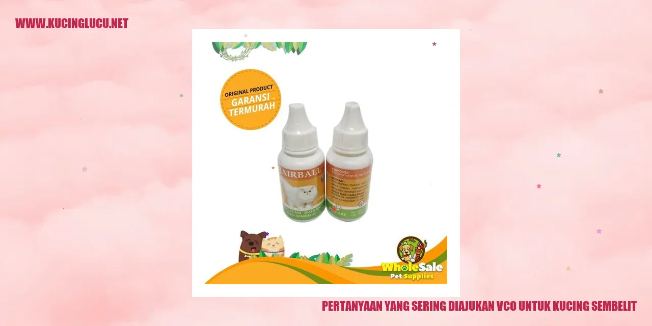Kucing dengan Masalah Sembelit