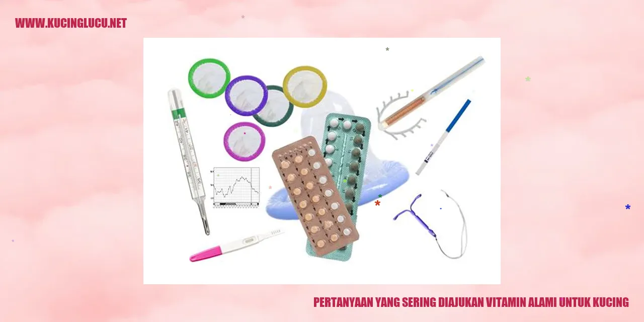 Vitamin Alami untuk Kucing
