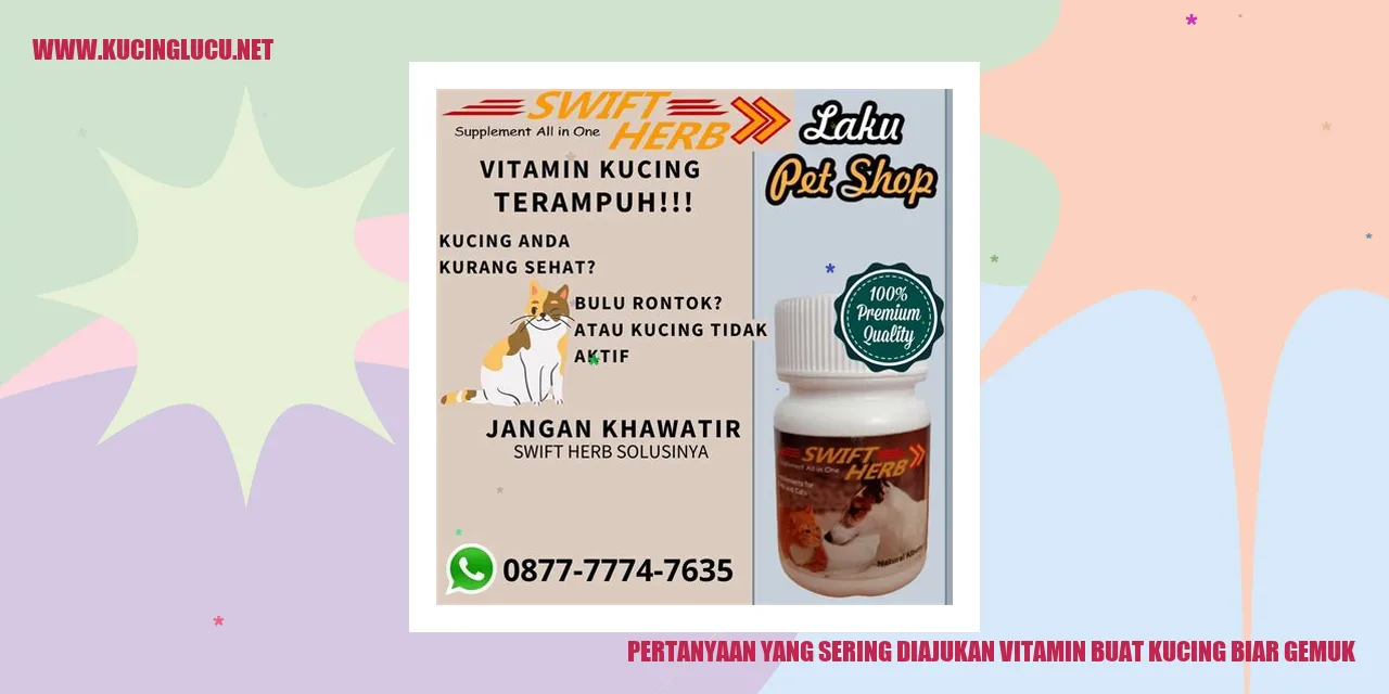 Pertanyaan yang Sering Diajukan vitamin buat kucing biar gemuk