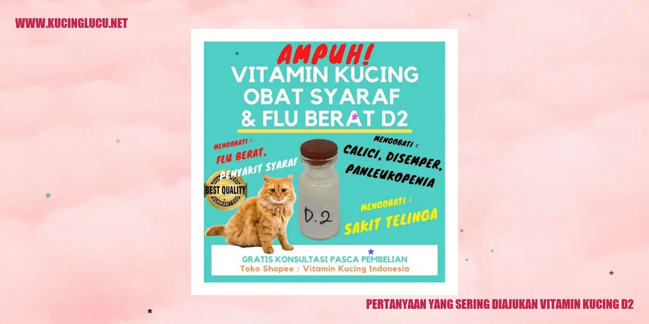 Vitamin untuk Kucing