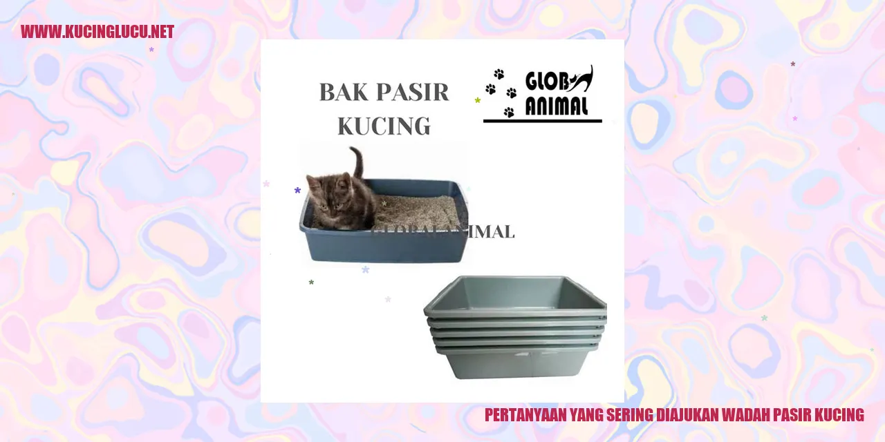 Pertanyaan yang Sering Diajukan tentang Wadah Pasir Kucing