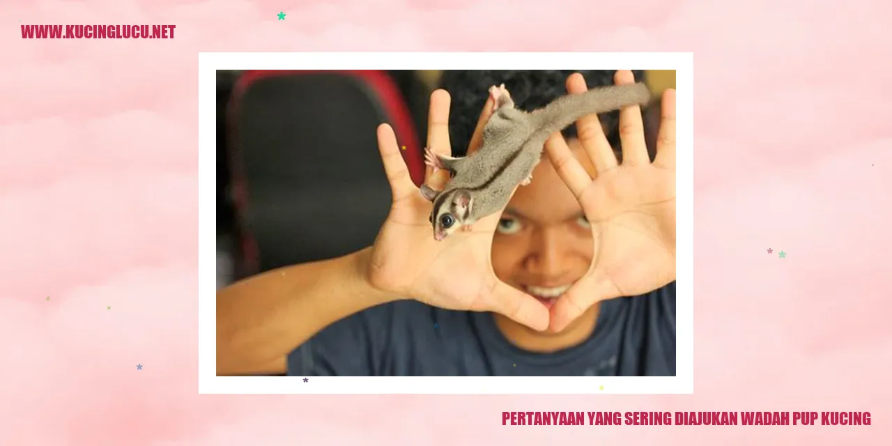 Gambar Wadah Pup Kucing