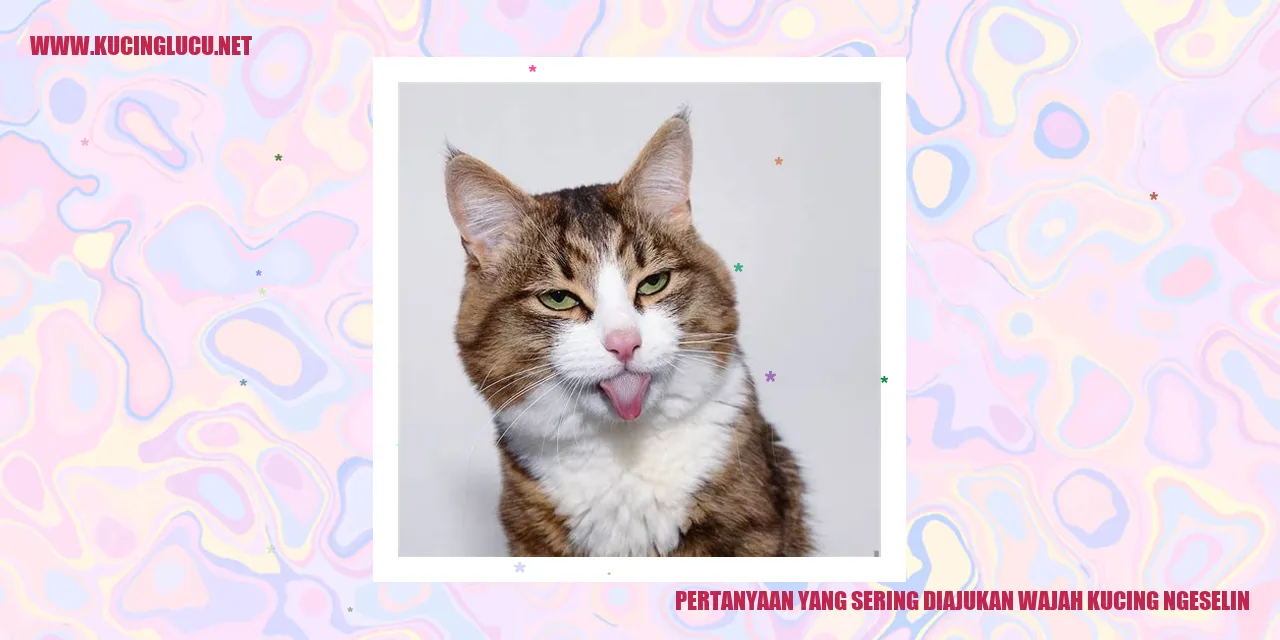 Gambar kucing