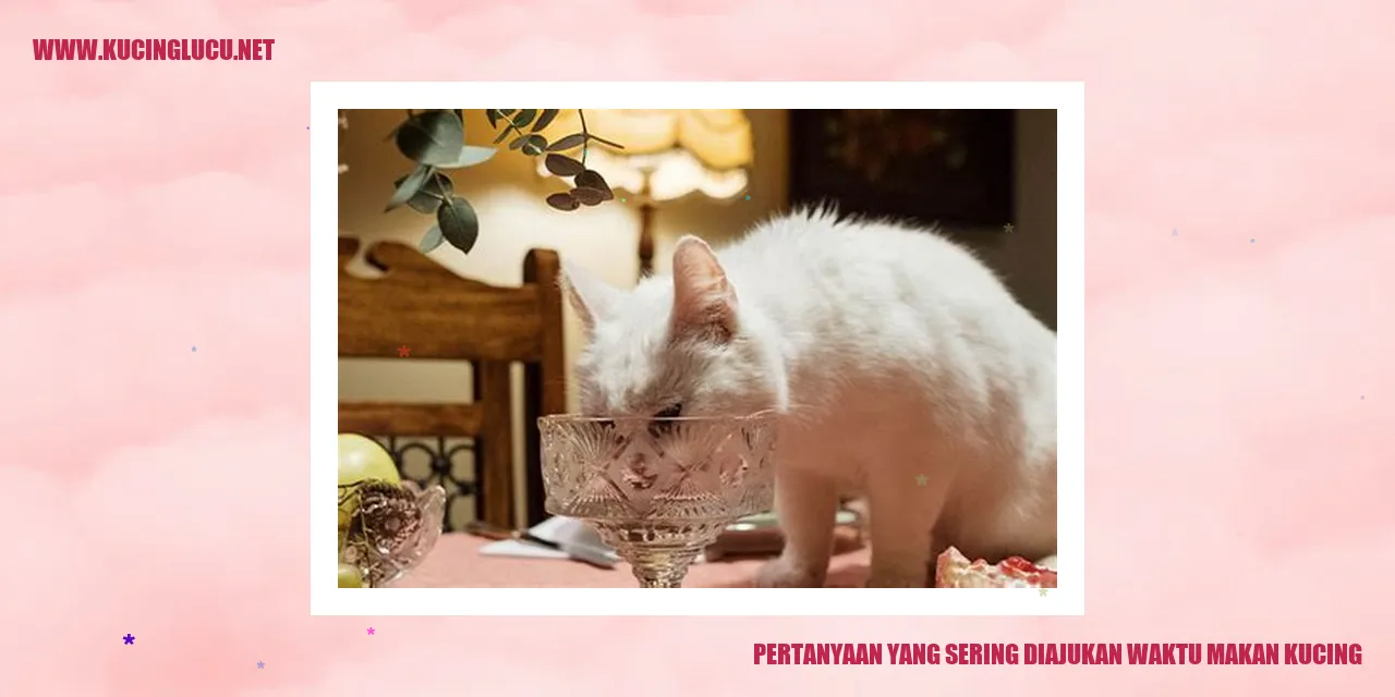 Pertanyaan yang Sering Diajukan waktu makan kucing