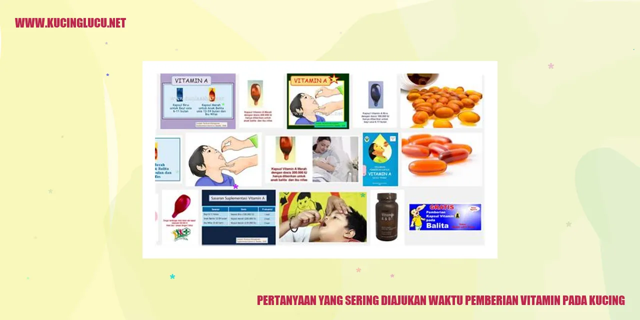 Gambar kucing