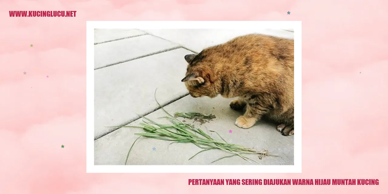 Gambar kucing muntah warna hijau